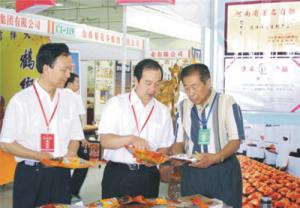 原安陽市市長董永安、副市長陳明今到公司調(diào)研